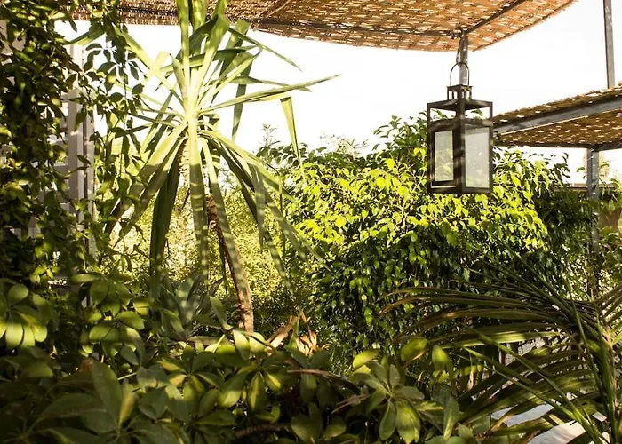 Maison Noun Marrakesh